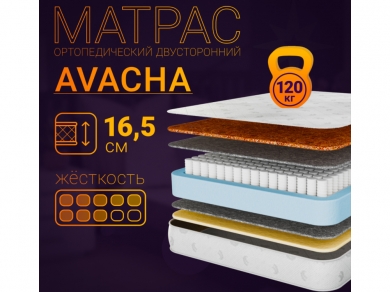 Avacha - 10 (,  10)