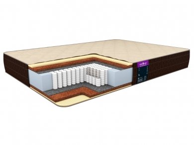  Astra Sleep Nature 21 S1000 ()