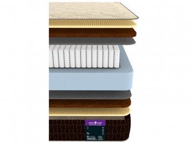 Astra Sleep Nature 21 S1000 - 2 (,  2)