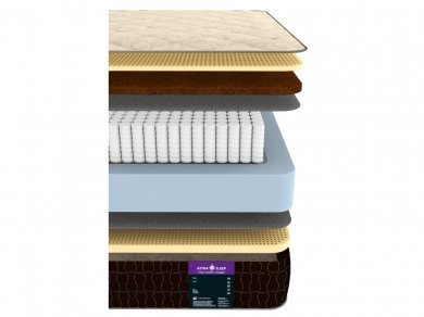  Nature Soft 21 S1000 - 2 (,  2)
