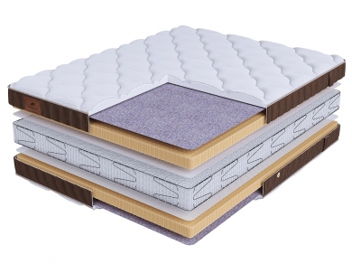  Beautyson Life Latex Double S2400 ()