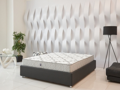 ������ ���� ������ ���� - 6 (����������, ����������� 6)