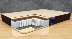  Nature Soft 21 S1000 - 1 (,  1)