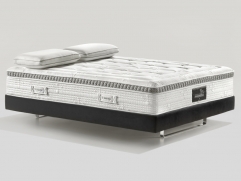 Audace Armonia Memoform Dual 12 160x200 
