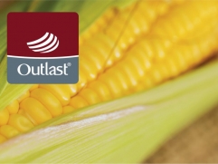  Hefel Outlast & Maize - 3 (,  3)