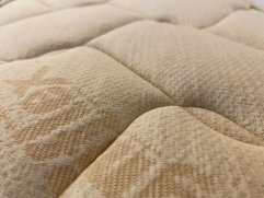  New Merino - 1 (,  1)